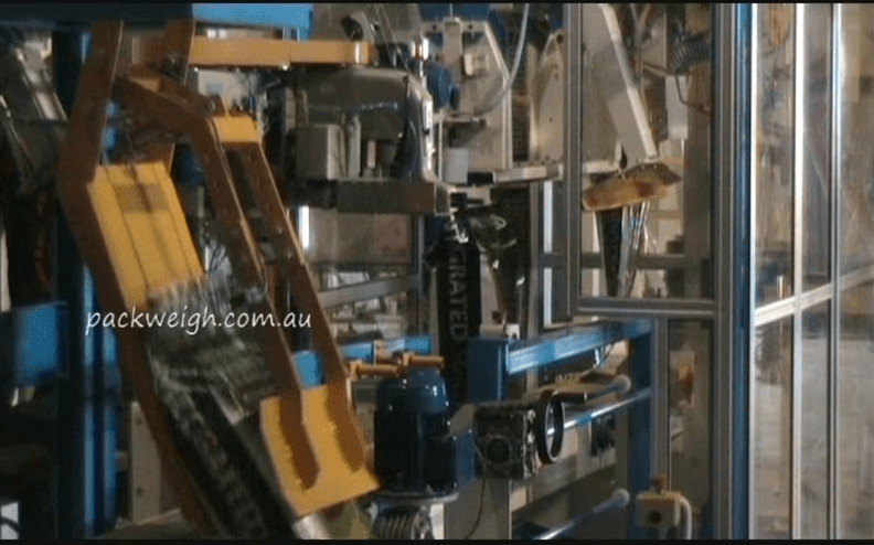 Auto bagging with net belt feed scale & palletising